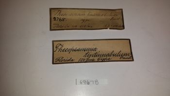 Media type: image; Invertebrate Zoology 69678   Description: specimen labels;
